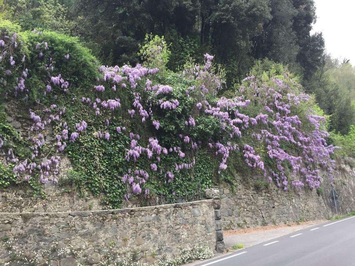 La Piccola Oasi Toscana Apartment Bagni di Lucca Bagian luar foto